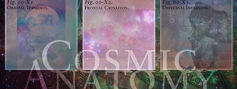 Cosmic Anatomy Series